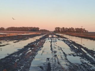 Súper Niño en Buenos Aires: El campo alerta que los caminos rurales llegan al límite