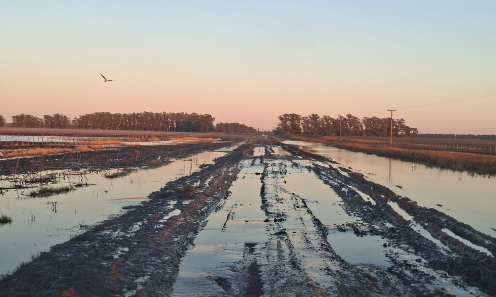 El campo alerta que los caminos rurales llegan al límite
