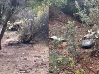 Avión sanitario desaparece en Chile y lo hallan estrellado: seis muertos