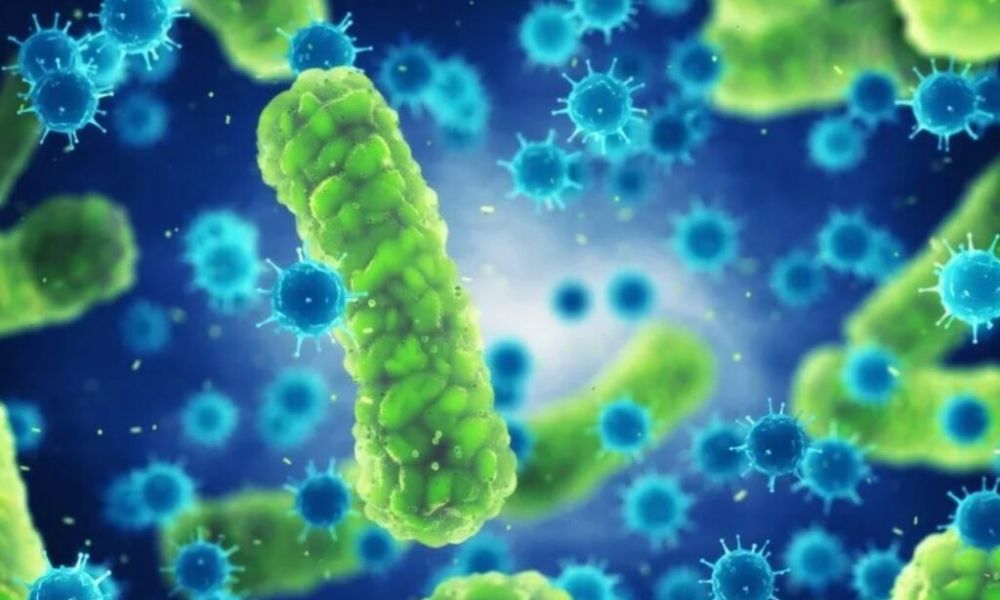 Detectan y contienen brote de una bacteria