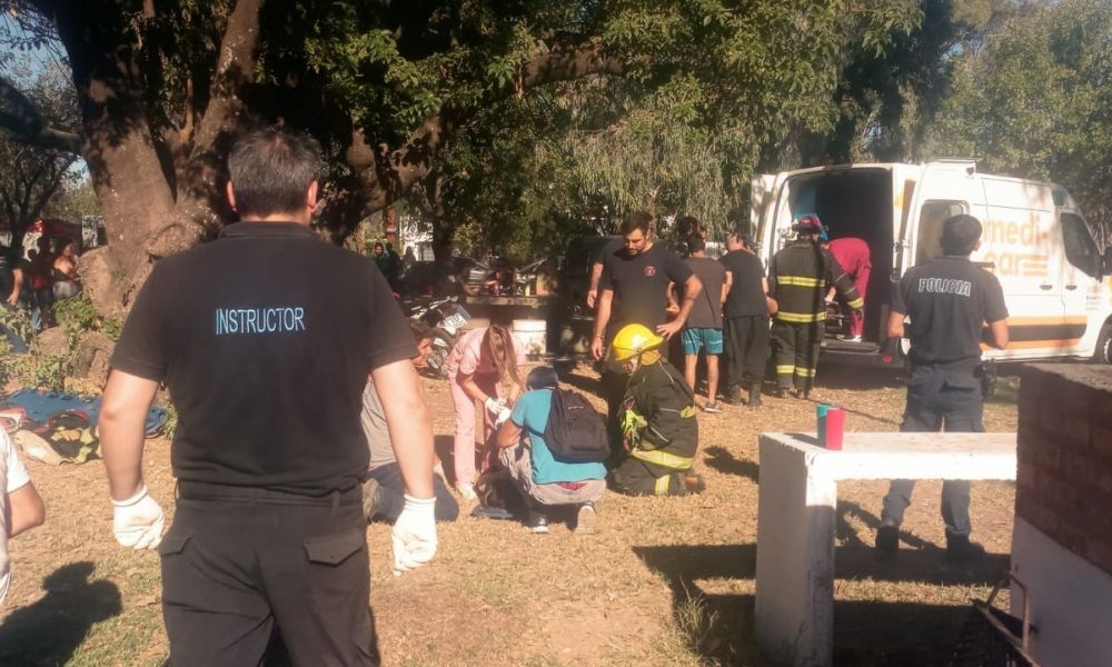 Cae parte de un árbol sobre personas en el Parque Municipal