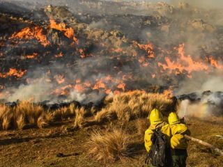 Controlan los incendios que arrasaron cerca de 40 mil hectreas en el norte cordobs
