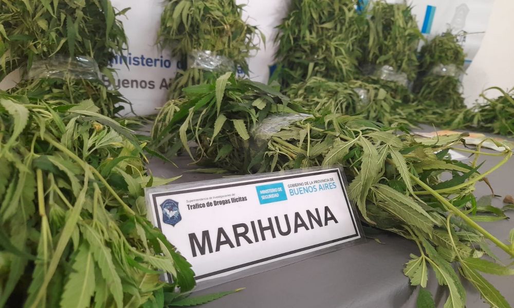 Caen detenidos dos jóvenes por comercio de drogas Caen detenidos dos jóvenes por comercio de drogas