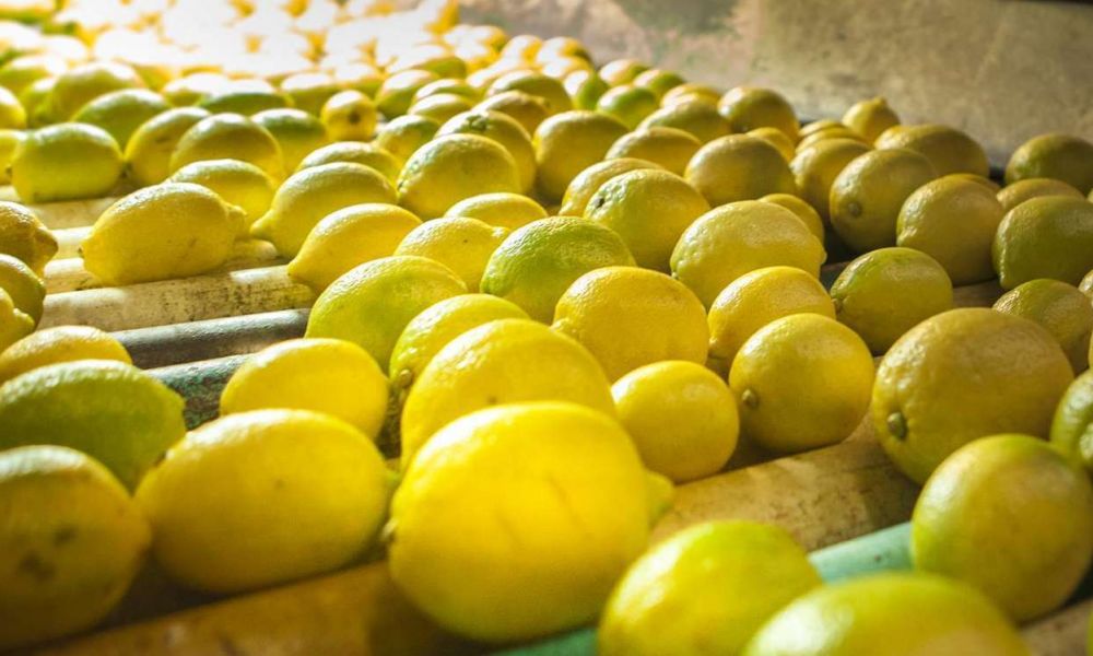 Los problemas por la falta de Gasoil