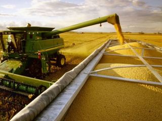 Estiman que el agro aportar� en 2021 una producci�n equivalente a m�s de US$ 40.000 millones