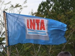 Reordenamiento estatal: El Gobierno reestructura siete organismos para mejorar eficiencia y reducir costos
