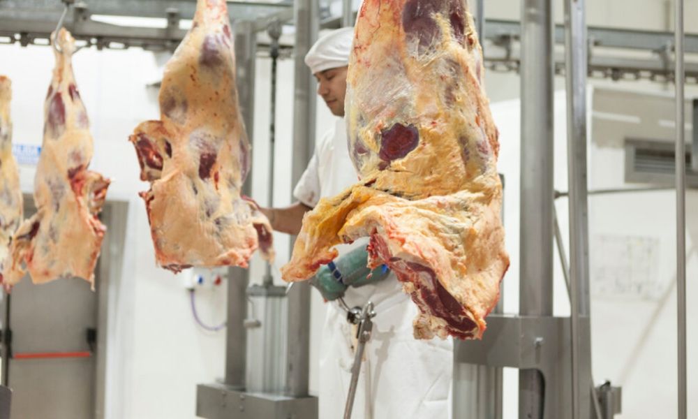 Bajan 30% el precio de la carne