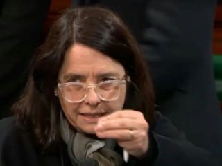 Polmica en el Senado por dichos de lvarez Rivero sobre la atencin en el Garrahan