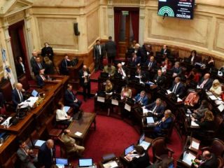 El Senado le dio un revés a Milei y repuso la emergencia en Discapacidad