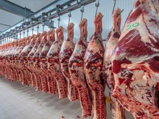 El Gobierno ratifica las retenciones cero para la exportacin de carnes