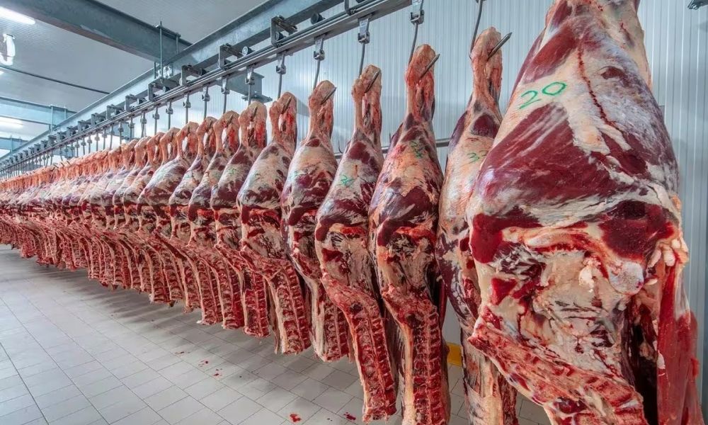 Retenciones cero para la exportación de carnes