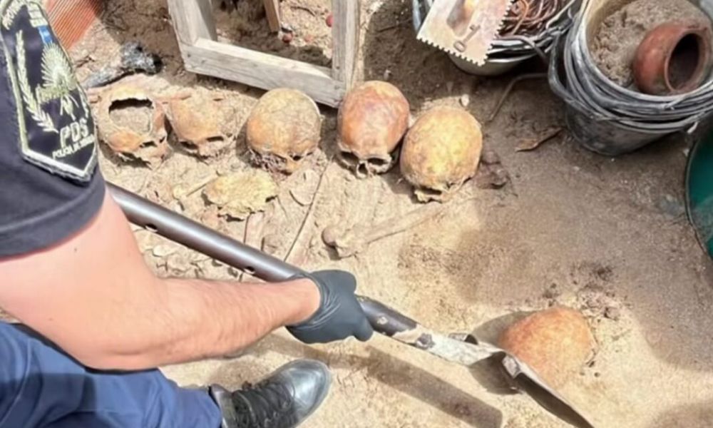 ¿Qué ocultan los cráneos hallados en Ostende?