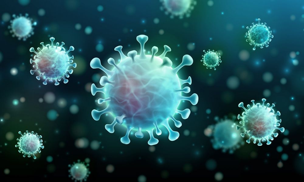 Nueva ola de Coronavirus con la variante BQ.1 de Ómicron