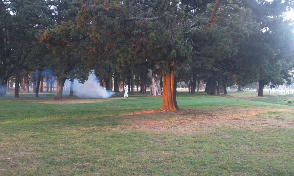  Fumigan espacios verdes