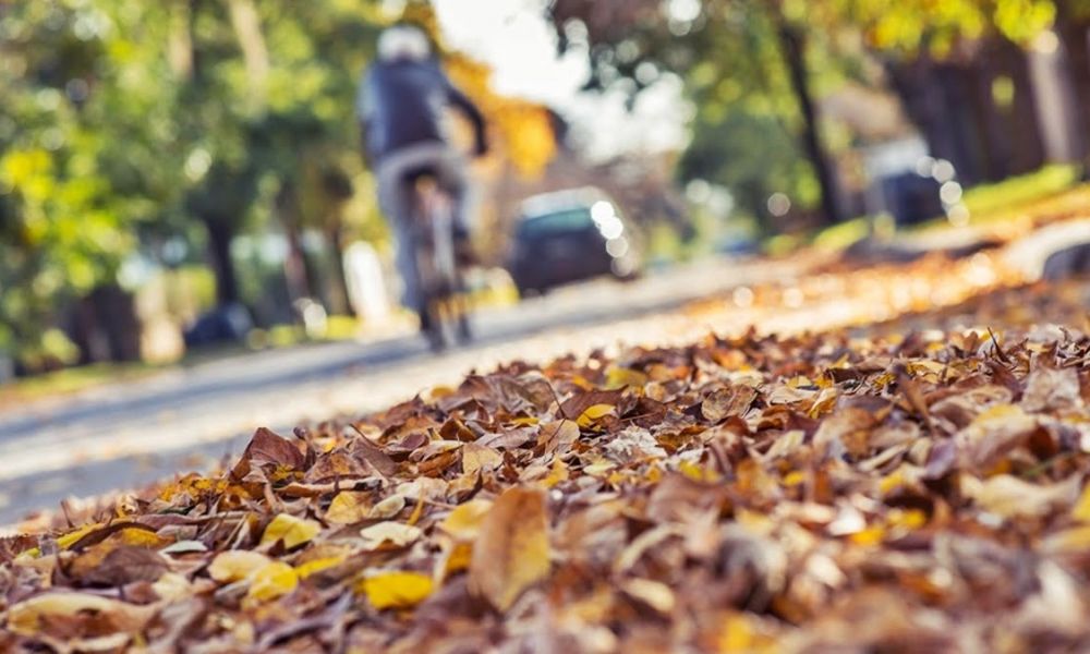 Pocas lluvias y temperaturas bajas