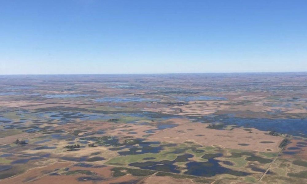 880 mil hectáreas anegadas en territorio bonaerense