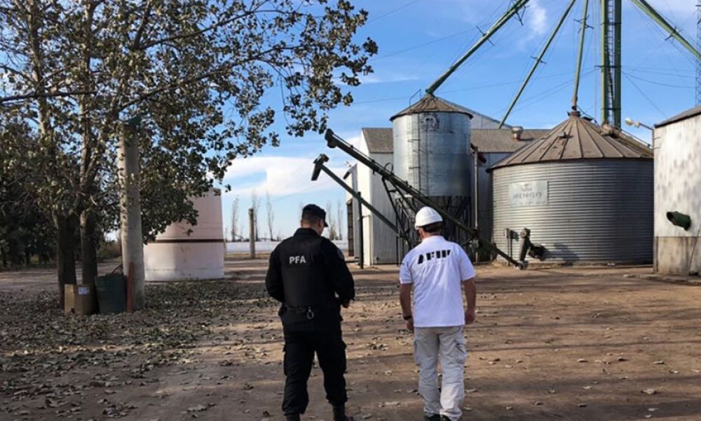 AFIP detectó en Pergamino cultivos no declarados