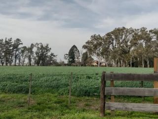 El Gobierno nacional aprueba la emergencia agropecuaria en 50 distritos bonaerenses Cules?