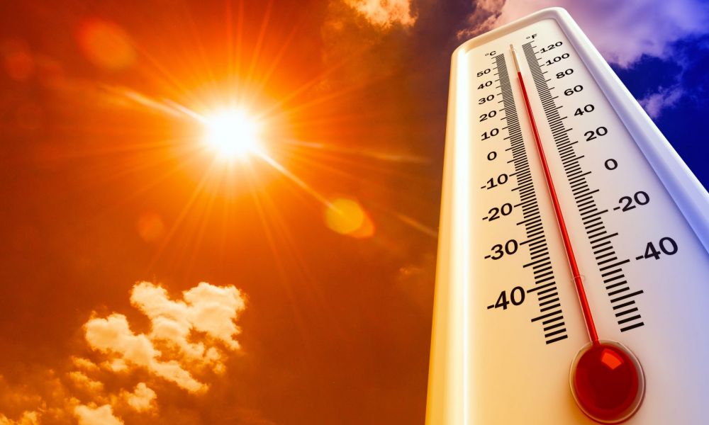 Alerta por temperaturas extremas en febrero