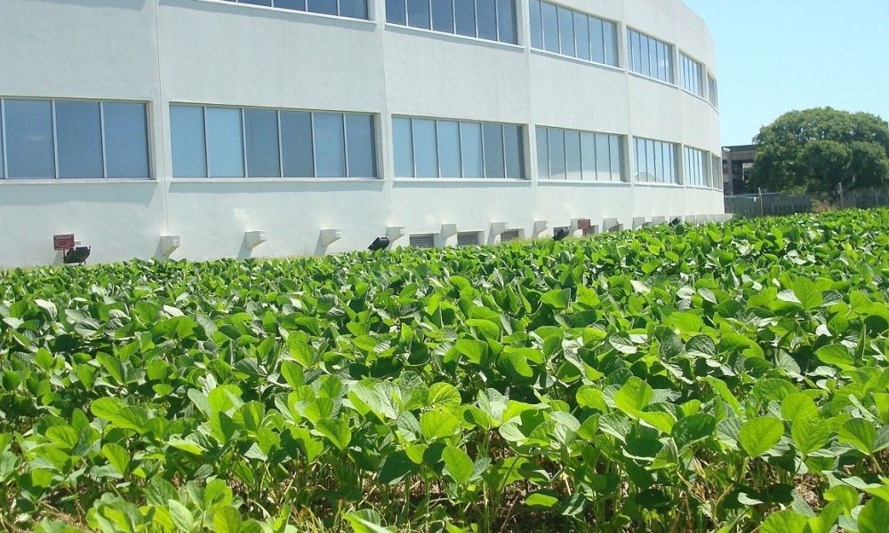 Quiebra de Bioceres: Aseguran que el holding tiene fondos