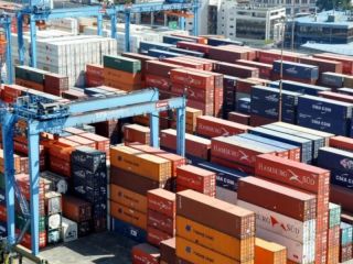 Qu exportan las pymes argentinas?: Alimentos sin procesar lidera con casi el 50%