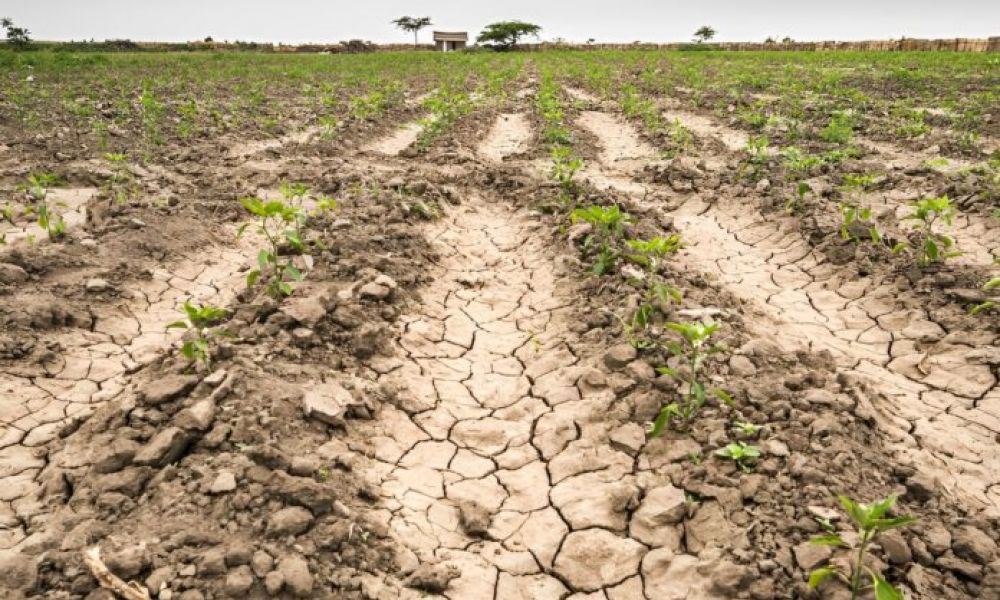 La sequía en la provincia empeoró
