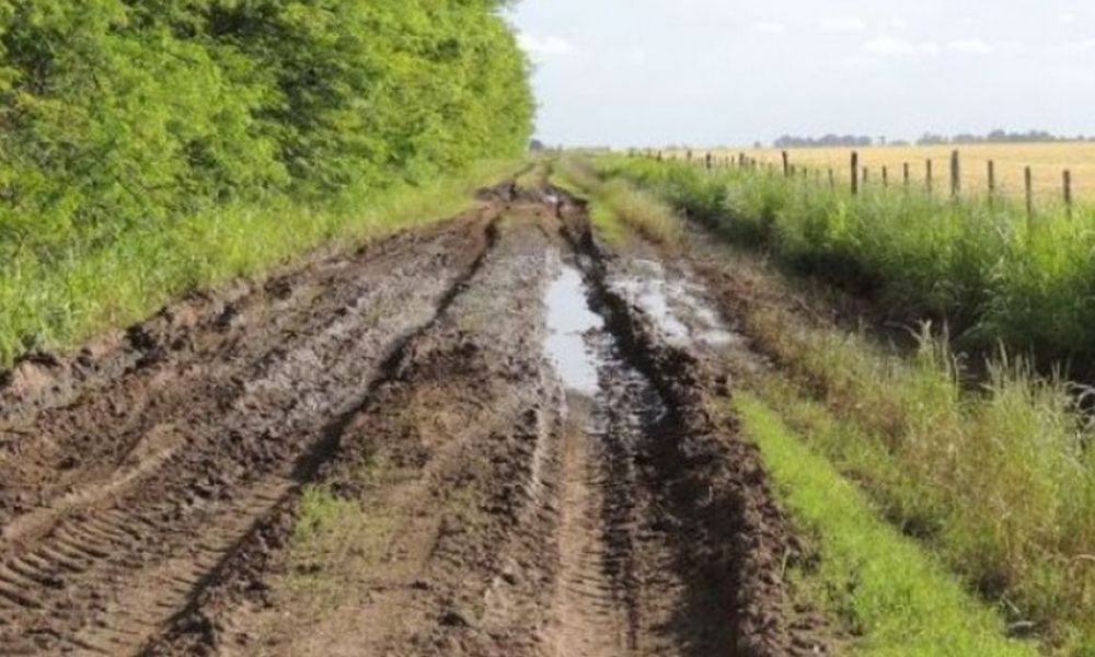 Caminos rurales