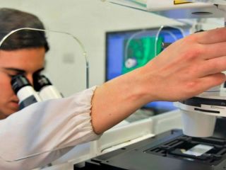 Conicet incorpor 820 nuevos cargos para la carrera de Investigador Cientfico y Tecnolgico