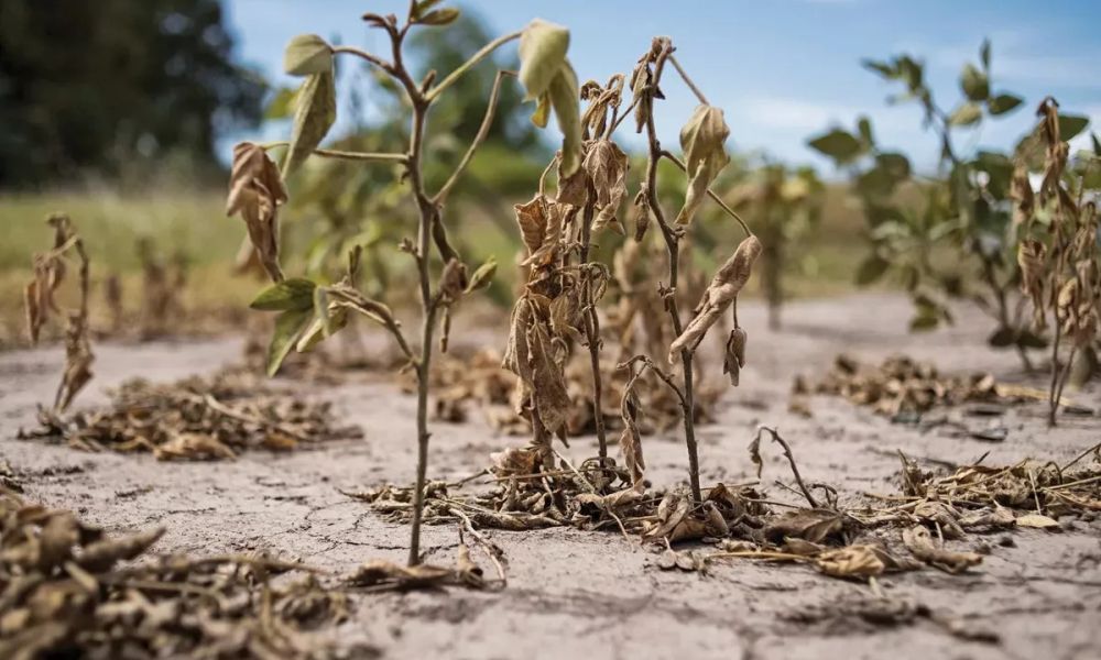 Primavera seca y fresca en el horizonte sudamericano