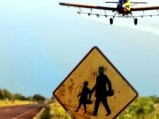 Pergamino: Procesan a piloto y dueo del campo que fumigaron sobre una escuela rural
