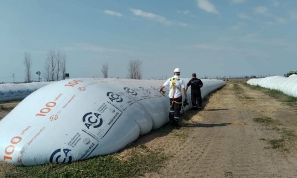 La AFIP incautó 2656 toneladas de granos