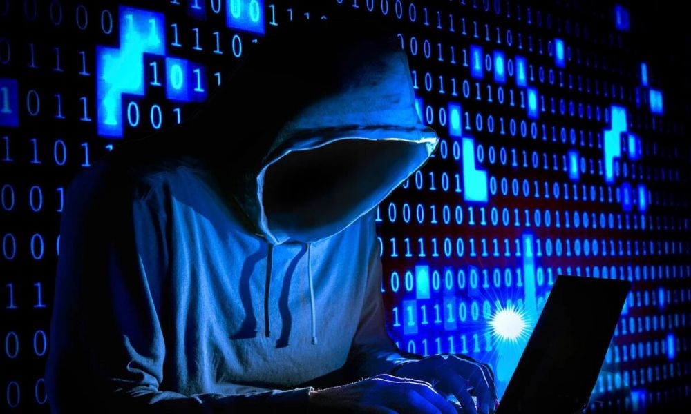 Robaron la base de datos de todas las licencias de conducir