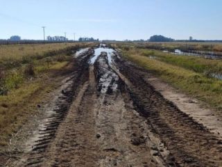 José Manfredini: «Los productores de Colón dijeron basta» y dieron un ultimátum al municipio por los caminos rurales
