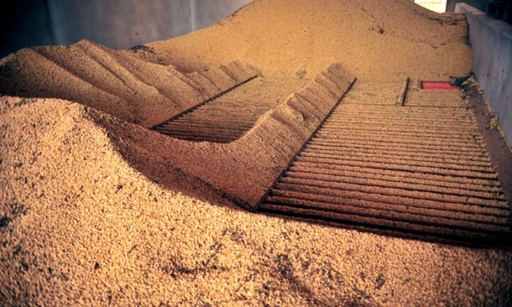 Descubren una red de contrabando de soja