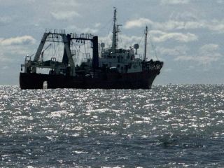 Malvinas: El Gobierno sancionó a 45 empresas y personas vinculadas a la explotación petrolera