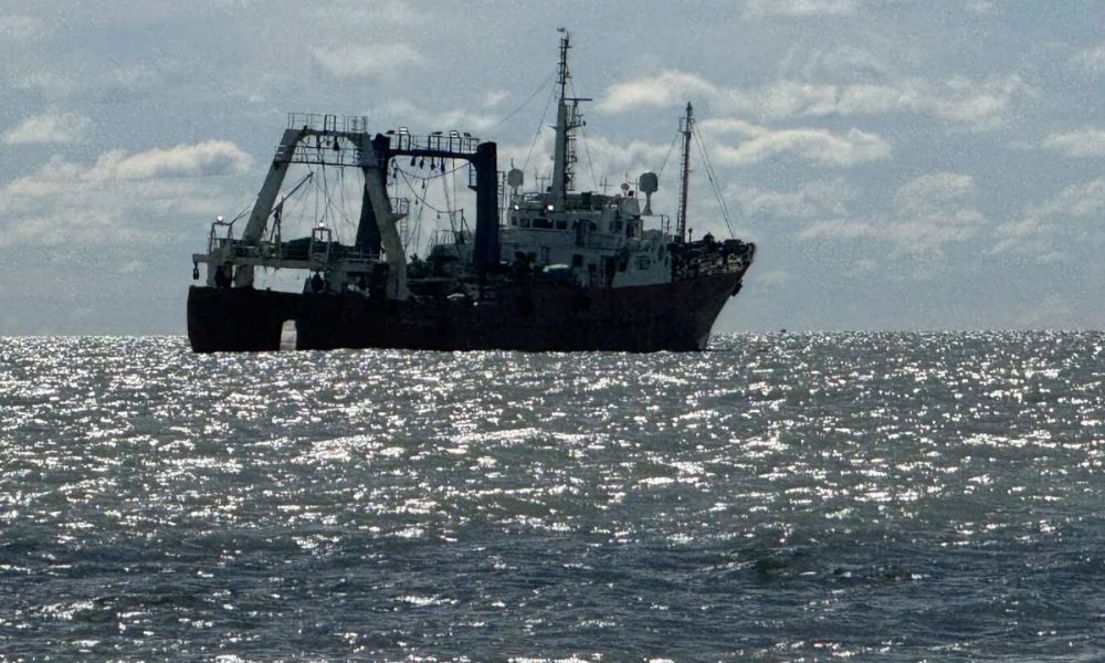 Malvinas: El Gobierno sancionó a 45 empresas y personas