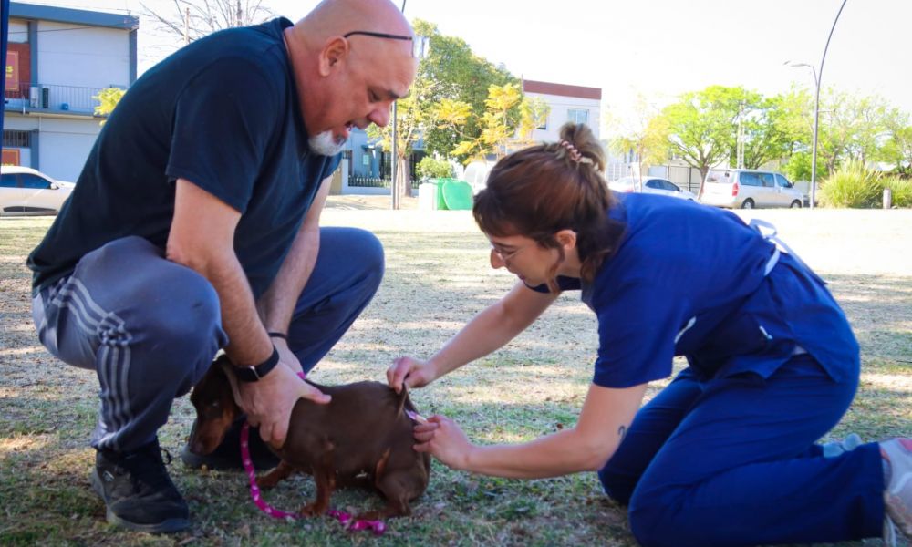 Veterinaria amplía la zona de vacunación antirrábica