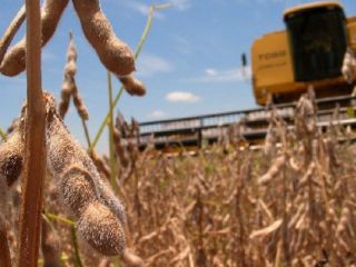 El Gobierno present un proyecto con mltiples incentivos para la cadena agroindustrial