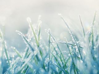 Rcord: Pergamino alcanza los -4.6 grados este viernes a las 7 horas