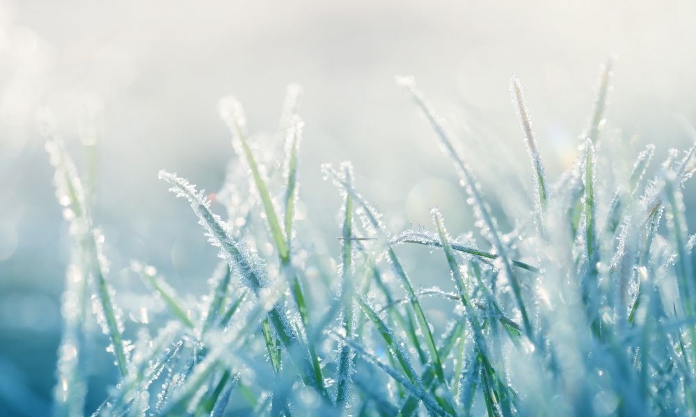 Pergamino alcanza los -4.6 grados este viernes a las 7 horas