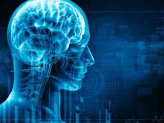 Una IA logró reconstruir lo que una persona ve a partir de su actividad cerebral