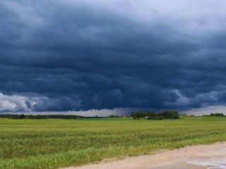 INTA activa un plan de prevención ante un posible regreso de El Niño: Cómo impactará en el campo