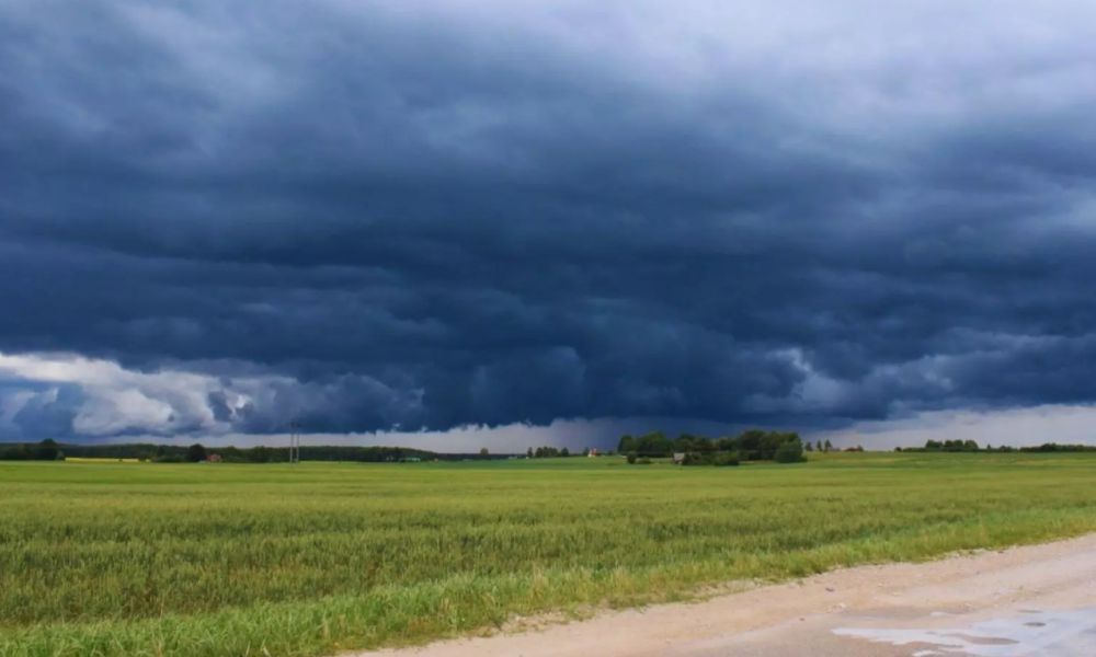 El Niño: INTA activa un plan de prevención