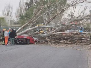 Temporal en Mendoza: Una vctima fatal y caos por el viento