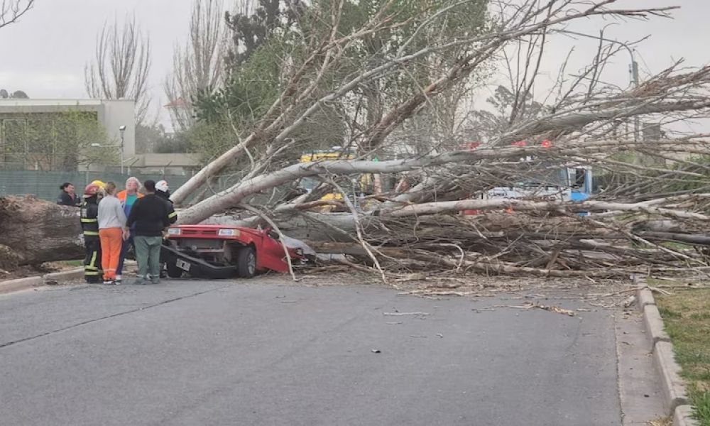 Una víctima fatal y caos por el viento