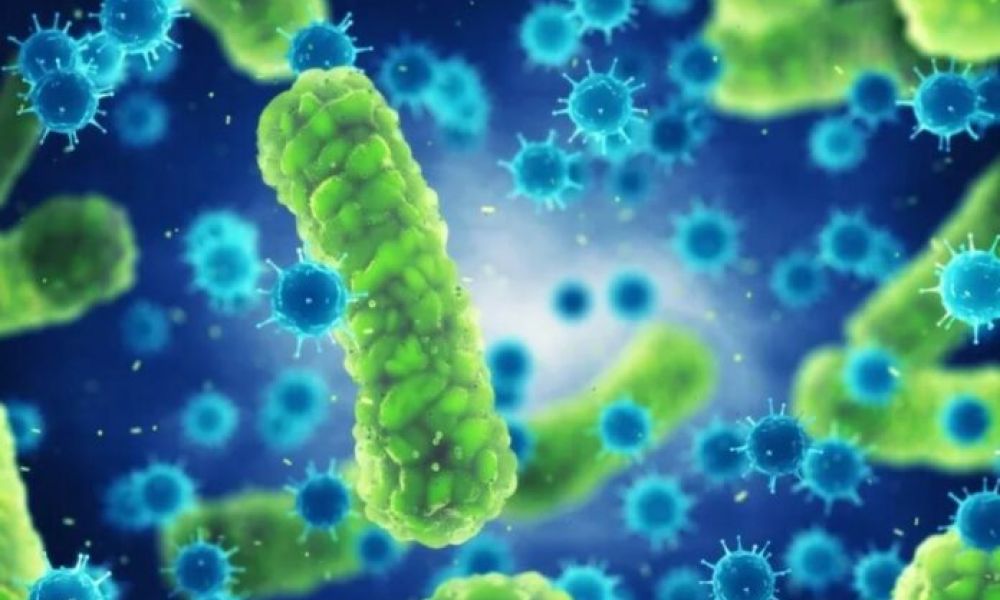 Brote de neumonía de origen desconocido