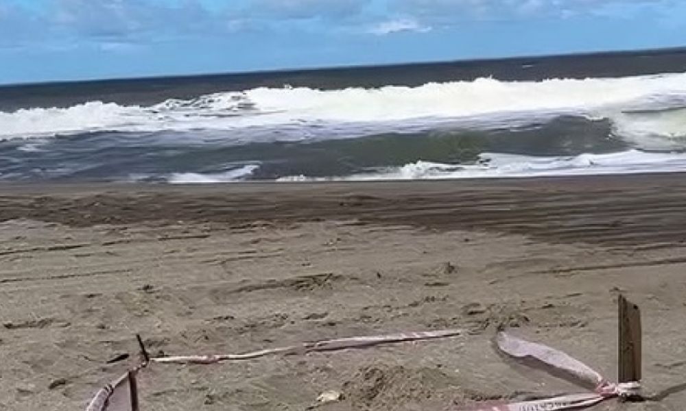 Un perro descubrió un cráneo humano en la playa