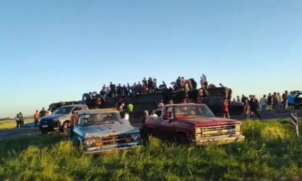 Nuevo saqueo de ganado tras el vuelco de un camión