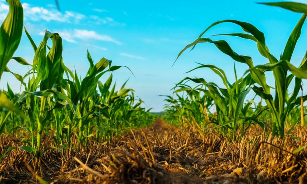 Potencian tecnologías del agro