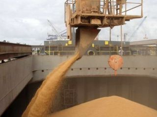 Guerra contra la inflacin: confirman suba de retenciones y crean Fondo de Estabilizacin de Trigo
